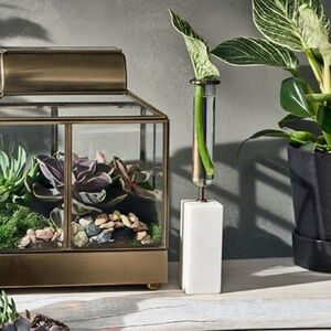 NWT Hilton Carter x Target White Marble Propagation Vessel